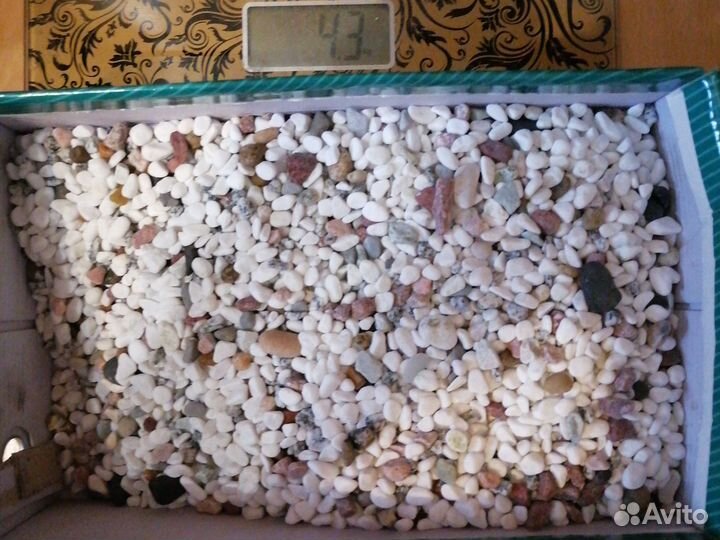 Аксессуары для аквариума