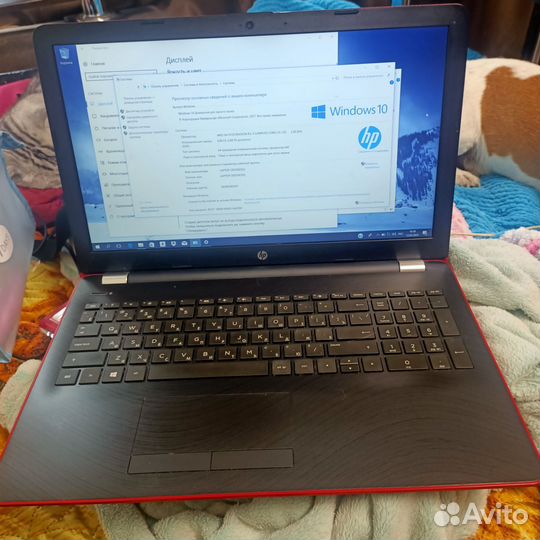 Ноутбук hp