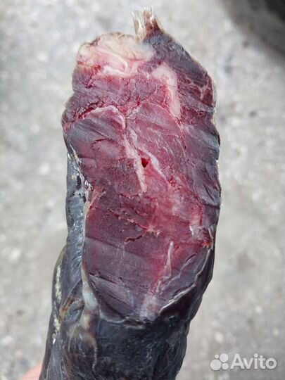 Конская колбаса казылык казы