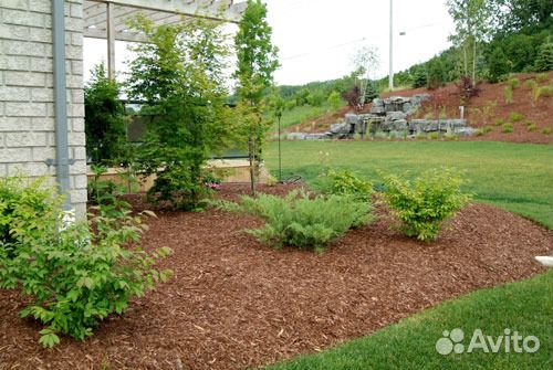 Мульча (кора лиственницы)