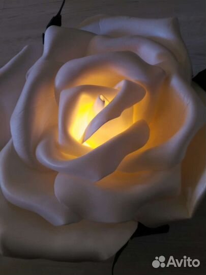 Светильник настенный