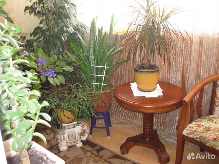 Слон подставка керамика Вьетнам 30*32