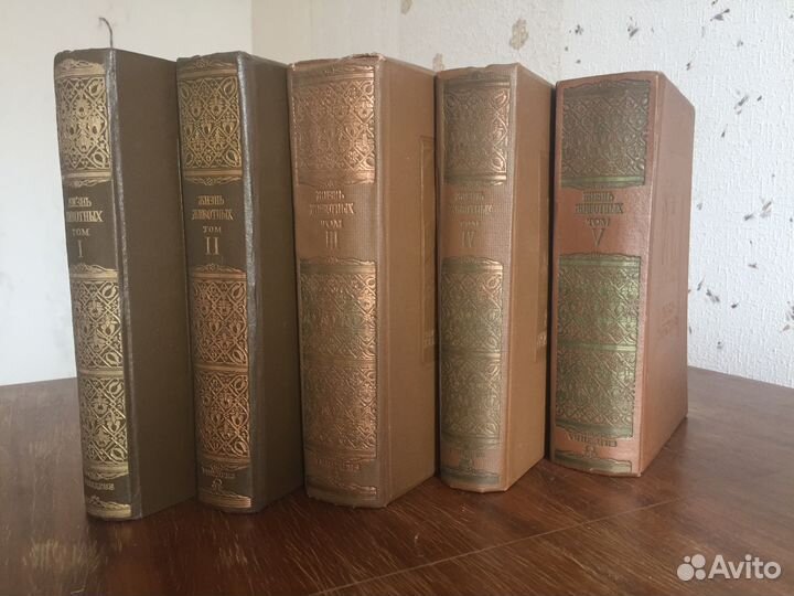 Энциклопедия «Жизнь животных» по А. Э. Брему