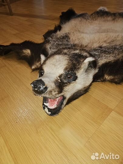 Ковёр из Барсука