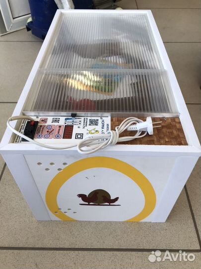 Автоматический инкубатор