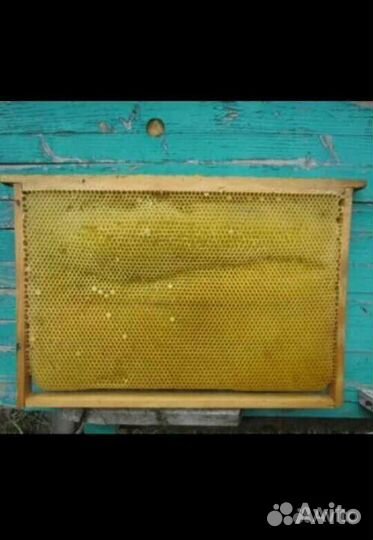 Рамки для ульев сушь