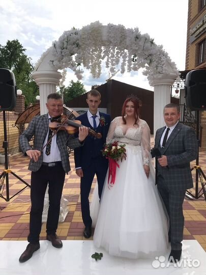 Ведущий,тамада, Организатор торжеств, D/J