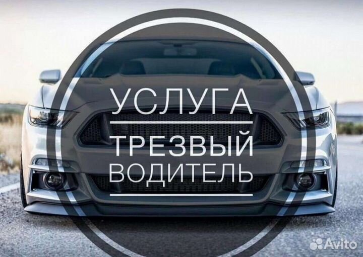 Трезвый водитель