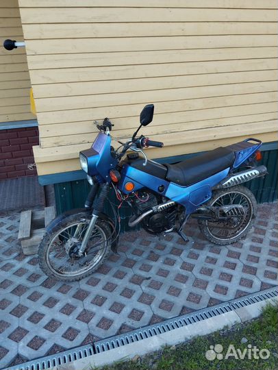 Зид пилот 50