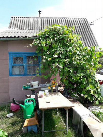 Снт металлург 4. Снт металлург 4 липецк официальный сайт. Металлург 4 липецк. Липецк снять на лето садовый домик в снт металлург 3. Дом с участком в снт металлург 4.