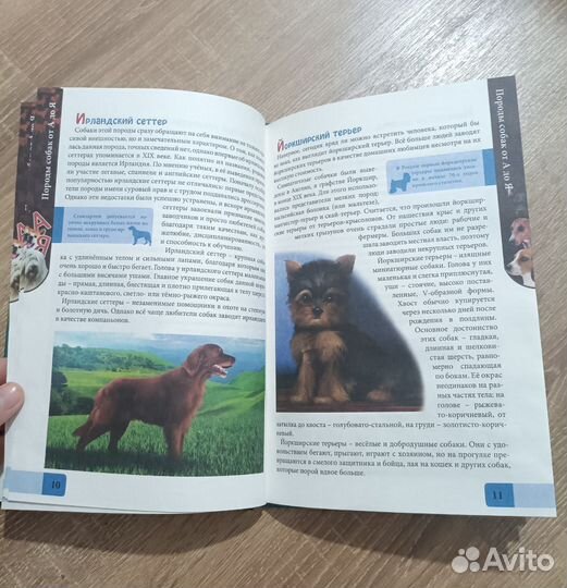 Энциклопедия породы собак