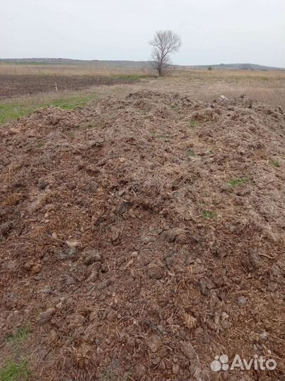 Конский навоз перегной