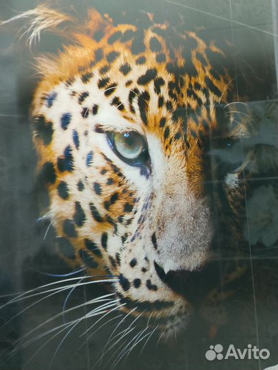 Отделка ванной пвх панелями