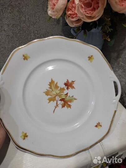 Большие блюда дулево