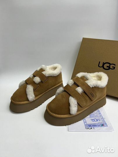 Ugg