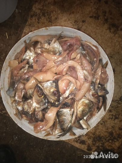 Рыбные отходы, фарш