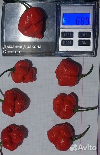 Семена суперострых перцев