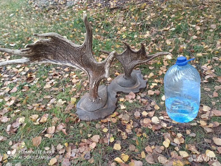 Продам рога лося