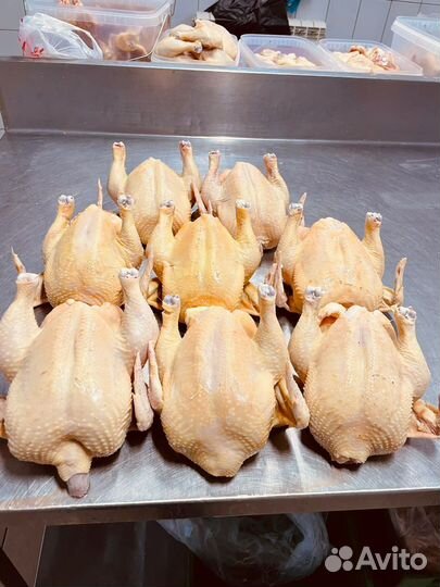 Курица домашняя халяль