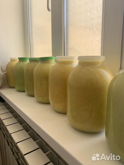 Алтайский мед 3л баллон 23 года сбор