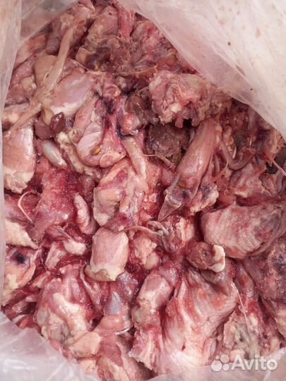 Обрезь куриная