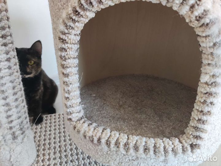 Домик для кошки