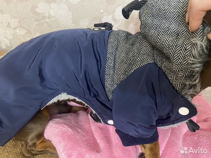 Куртка для собак мелких пород