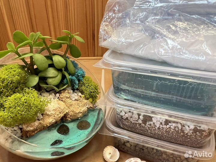 Набор для самостоятельного создания флорариума
