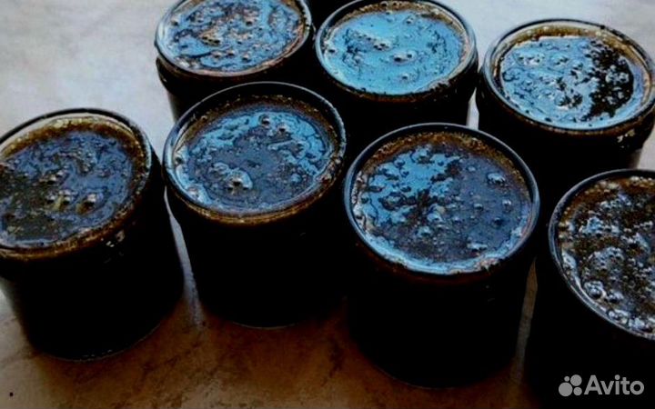 Ночная паста для потенции