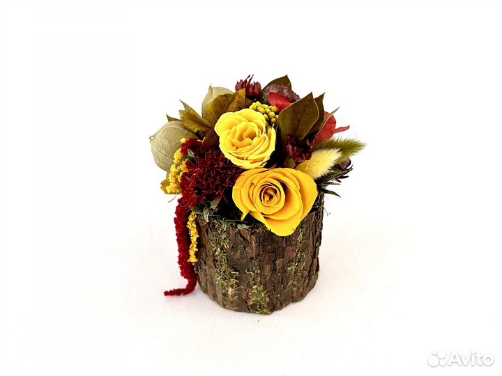 Композиция в древесной коре Стабилизированные цвет