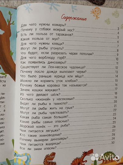 Книги для детей Александр Толмачёв