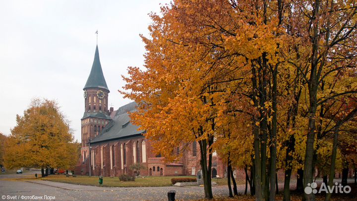 Обзорная автобусная экскурсия по Калининграду