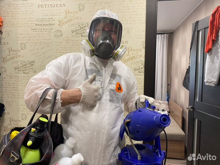 Уничтожение тараканов, клопов, а также запахов