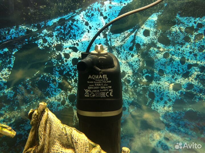 Аквариум и все что на фото