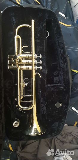 Труба музыкальная Bach TR305 USA