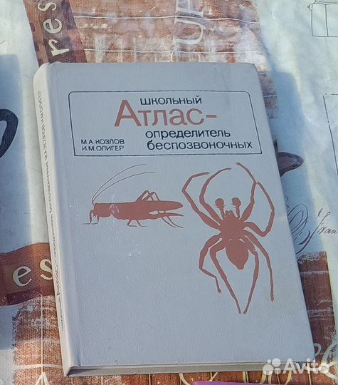 Школьный атлас - определитель беспозвоночных