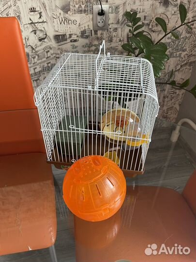 Продам клетку для хомяка с шаром