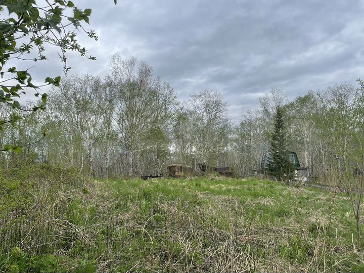 Участок 17,6 сот. (СНТ, ДНП)