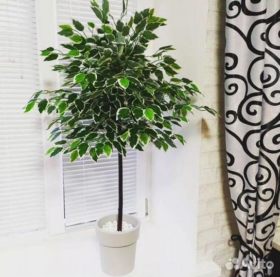 Искусственное дерево