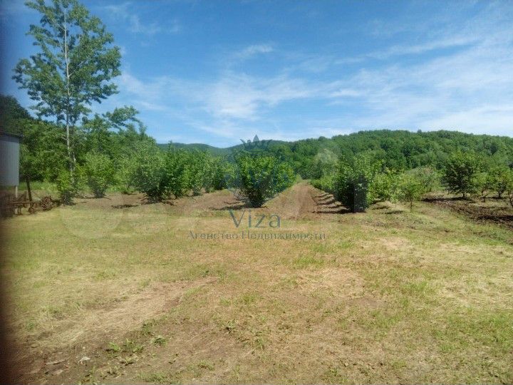 Участок 2 га (личное подсобное хозяйство (лпх))