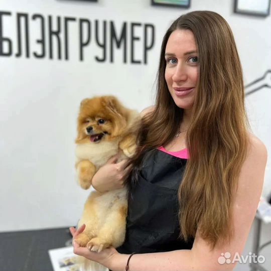 Стрижки и уход за домашними животными