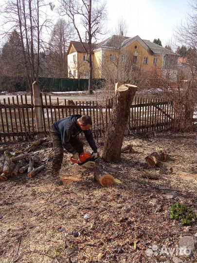 Аренда дробилки веток,дерева,щепорез,измельчитель