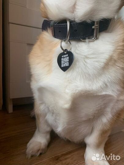 Адресник на ошейник брелок