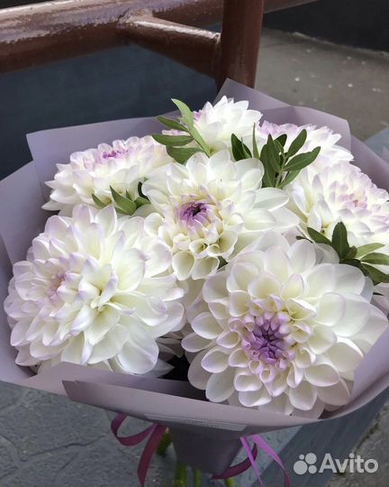 Букет 1 сентября с бесплатной доставкой георгины