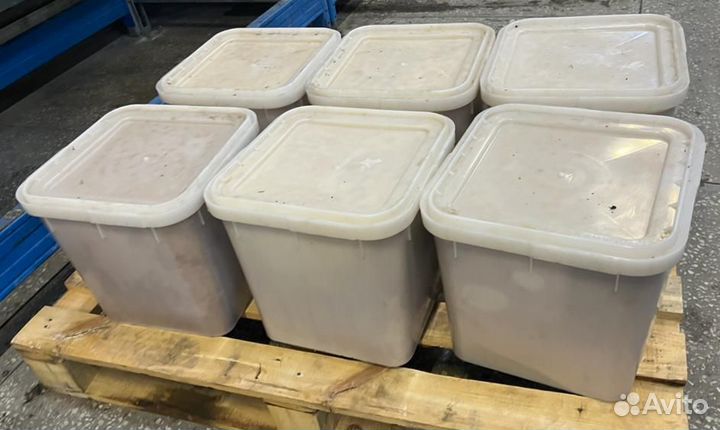 Свежий мед оптом майский