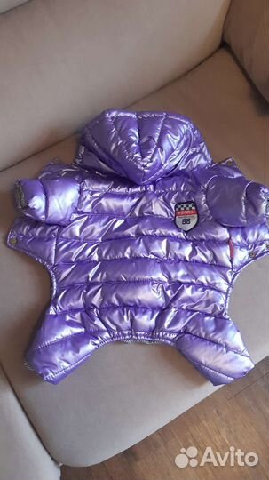 Зимний комбинезон для маленькой собачки