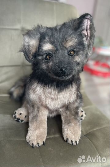 Реалистичная игрушка собака