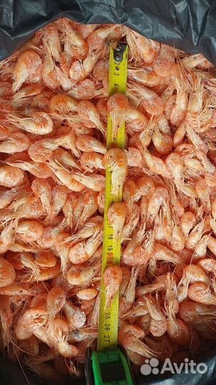 Креветки оптом