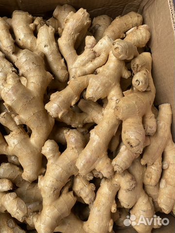 Имбирь ящик 13,5кг