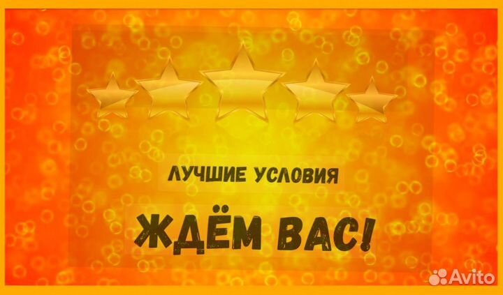 Сортировщик Еженедельный аванс Спецодежда М/Ж